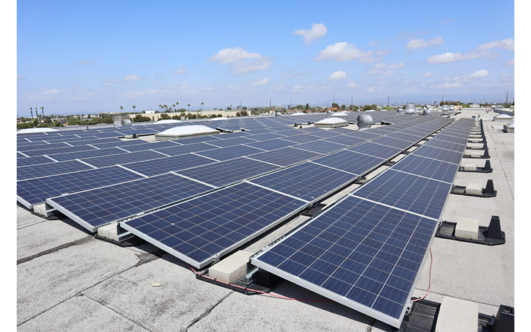 Growing in the Golden State and beyond